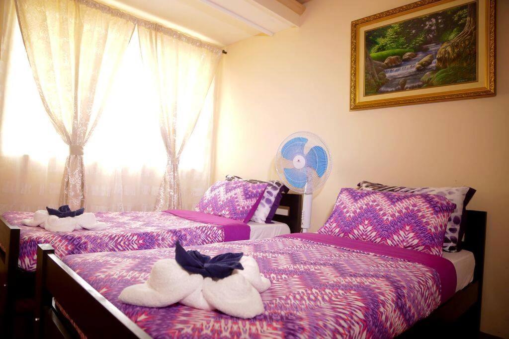 Florabells Iraya Guest House - Batanes Basco 外观 照片
